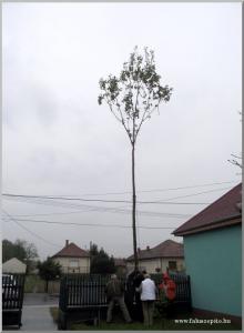 Majális a tájháznál
