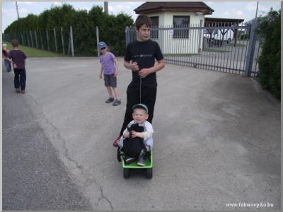 Madarak és Fák Napja 2011.