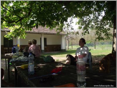 Madarak és Fák Napja 2011.