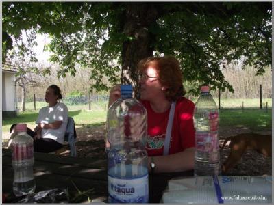 Madarak és Fák Napja 2011.