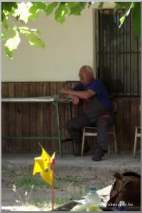 Madarak és Fák Napja 2011.