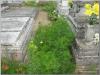 dscf7430_t1.jpg