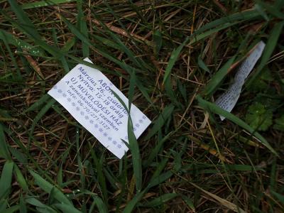 Szemétgyûjtés a Közútkezelõvel közösen