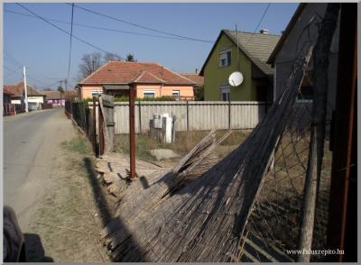 Terepszemlén